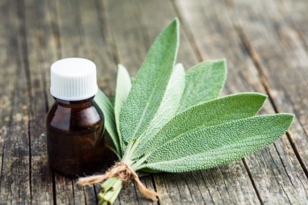 Aldilene Francisca de Moraes