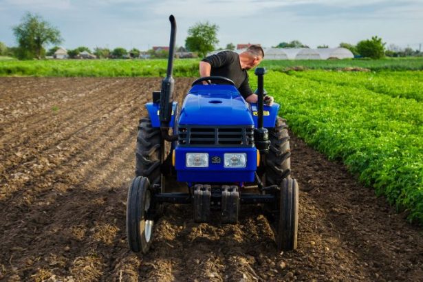 Carlos Eduardo Moraes Nunes