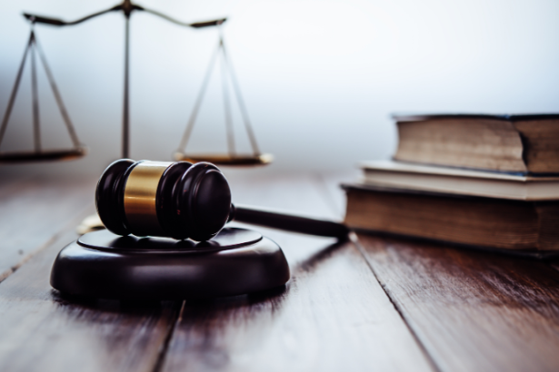 O desembargador Alexandre Victor De Carvalho analisa a relevância do julgamento de intempestividade no agravo em execução, garantindo celeridade e justiça processual.