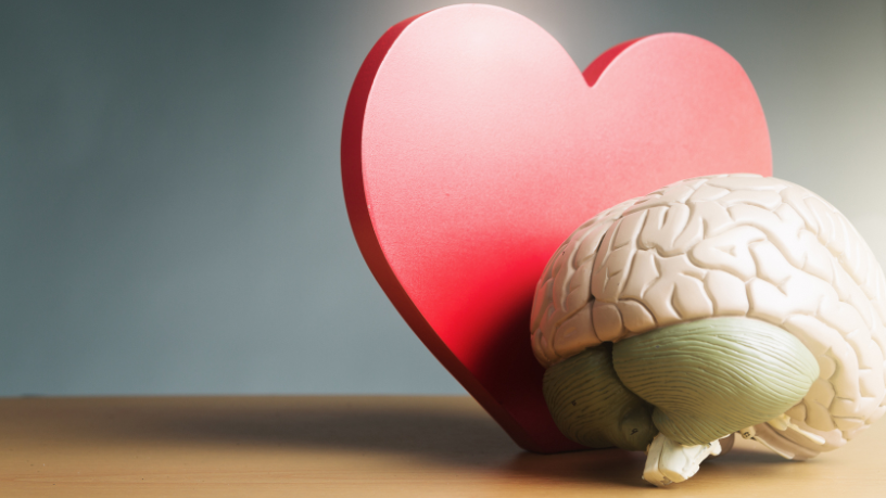 Bruno Garcia Redondo mostra como a inteligência emocional e a empatia podem ser aliadas na resolução de conflitos e na construção do diálogo.