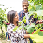 João Eustáquio De Almeida Junior analisa como feiras e eventos agropecuários se tornaram vitrines estratégicas para negócios, tecnologia e inovação no campo.
