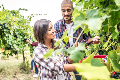 João Eustáquio De Almeida Junior analisa como feiras e eventos agropecuários se tornaram vitrines estratégicas para negócios, tecnologia e inovação no campo.