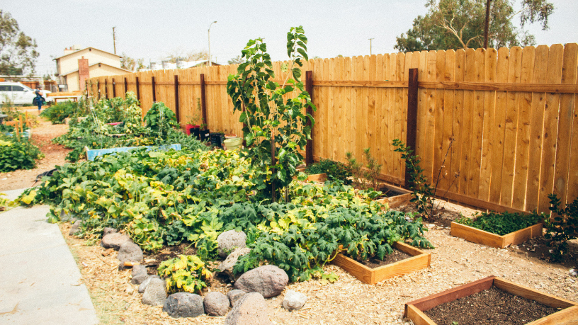 O tema produzir com sustentabilidade é o novo desafio da agronomia aponta caminhos para um futuro mais equilibrado. Conteúdo de Alfredo Moreira Filho.