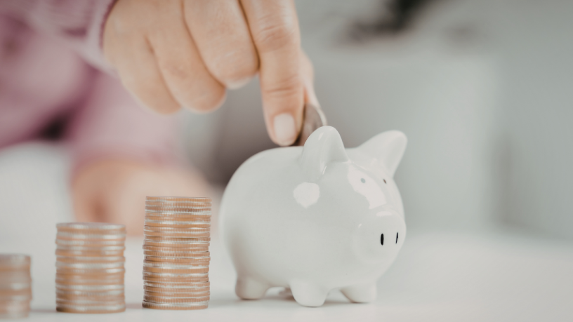 Sindnapi - Sindicato Nacional dos Aposentados, Pensionistas e Idosos