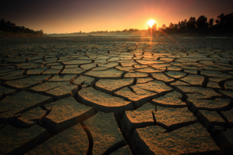 Mato Grosso lidera focos de calor no Brasil: o que o tempo seco significa para Cuiabá e para o estado