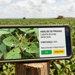 Inteligência artificial criada em Cuiabá pode ajudar produtores de Mato Grosso a identificar pragas pelo celular