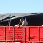 Homem inspeciona a carga de um caminhão vermelho em área externa.