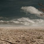 Árvore solitária em uma paisagem árida e rachada, sob um céu nublado, representando os efeitos da seca.