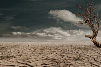 Árvore solitária em uma paisagem árida e rachada, sob um céu nublado, representando os efeitos da seca.