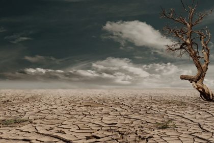 Árvore solitária em uma paisagem árida e rachada, sob um céu nublado, representando os efeitos da seca.