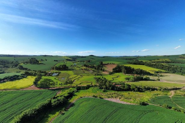 Vista aérea de extensas áreas verdes de cultivo e propriedades rurais sob o céu claro.