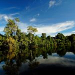 Rio cercado por vegetação nativa e árvores refletidas na água, em Alta Floresta, Mato Grosso.
