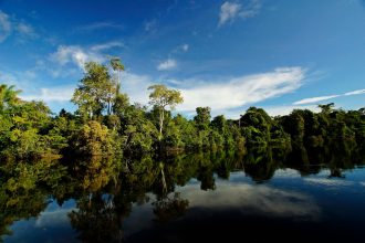 Rio cercado por vegetação nativa e árvores refletidas na água, em Alta Floresta, Mato Grosso.